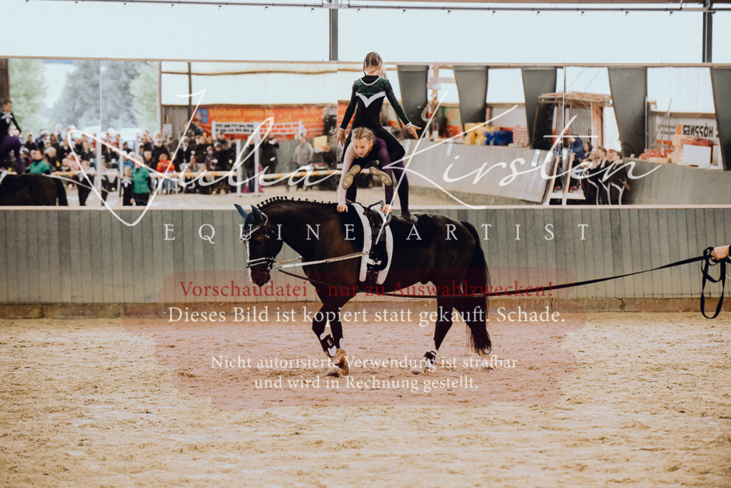 DSC_6877 | Pferde- und Turnierfotografie in Westsachsen. Pferdeportraits, Auftragszeichnungen und intuitive Kunst.