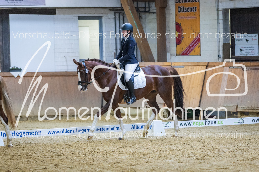 Sth-WBO25-EDr-058 | MomenTaufnahmen Pferdesportfotos