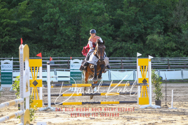 DKP45215 | Turnierfotos kaufen im Webshop von Daniel Kuhl Photography – entdecke professionelle Reitsportfotos aus Turnieren & Events. Hochwertige Turnierbilder online bestellen & sichern. Jetzt Fotos von Reitsportturnieren kaufen!