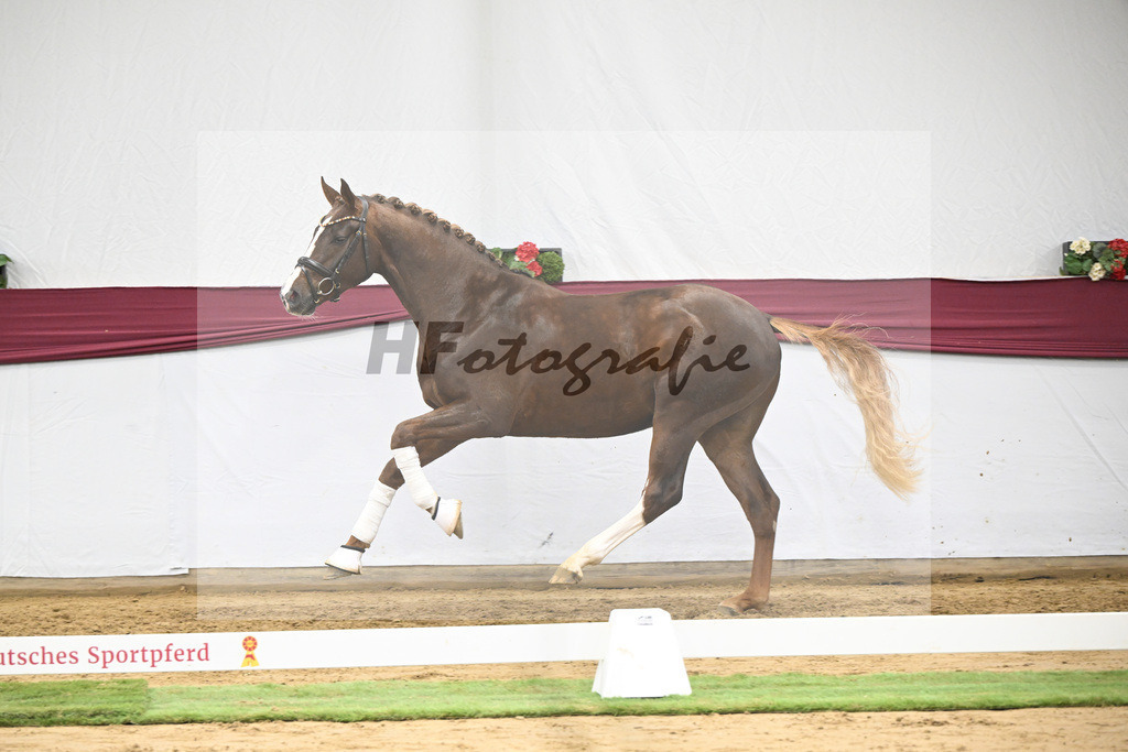 Kat-Nr. 64 Sky x Damsey_Heiko Klausing_47252339 | hf-fotografie - Realisiert mit Pictrs.com