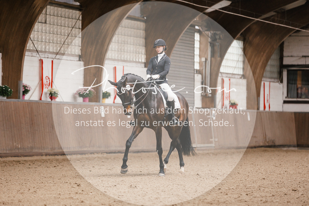 3I6A8383 | Stimmungsvolle Portraits und Reitsportfotografie im Ruhrgebiet und im Münsterland.

Pferdefotografie, Hundefotografie, Tierfotografie, Reportagen, Portraits von Tier und Mensch, Turnierfotografie in Bochum, Recklinghausen, Marl, Haltern am See, Dülmen.. - Realisiert mit Pictrs.com