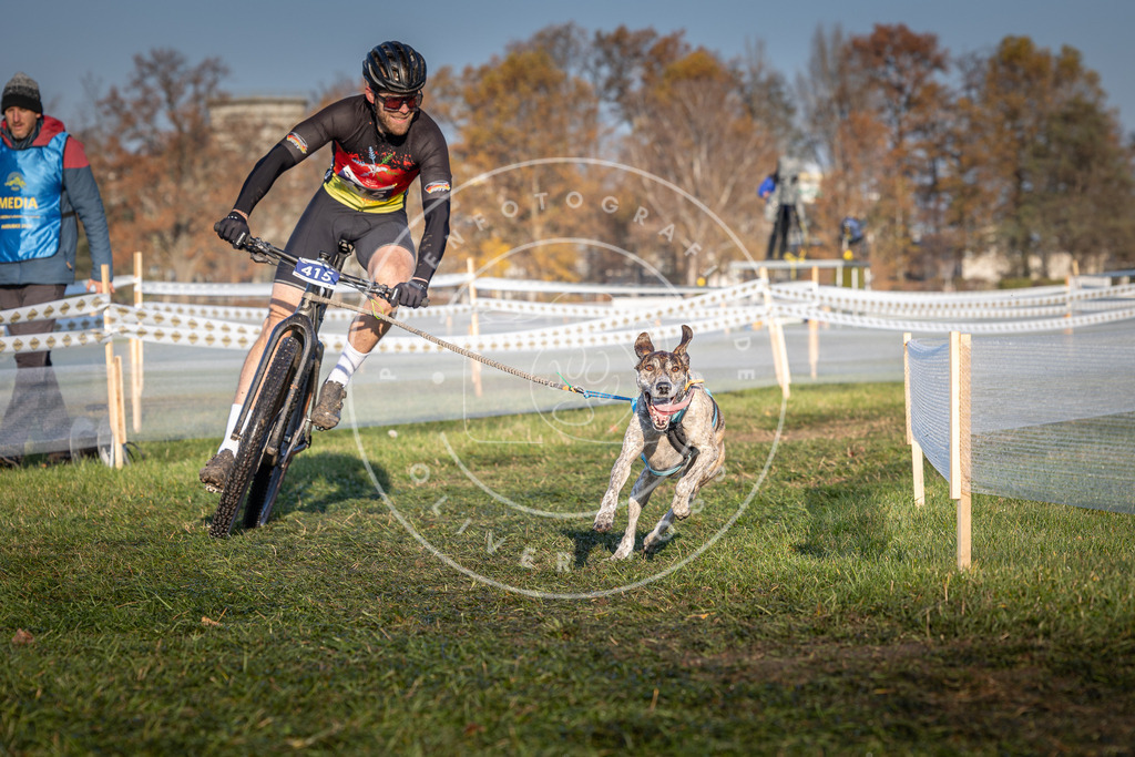CaniXpix_0L8A4091 | Hundefotografie, Tierfotograf, Pfotenfotografie, Fotoshooting Hund, Hunde Portrait, Hundesport, Hundeportraits, Heideshooting, Hunde, Sportfotograf, Hundefotograf, Turnierhundsport, THS,  - Realisiert mit Pictrs.com