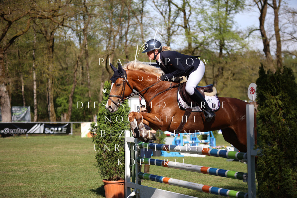 IMGT0541 | pl-fotografie