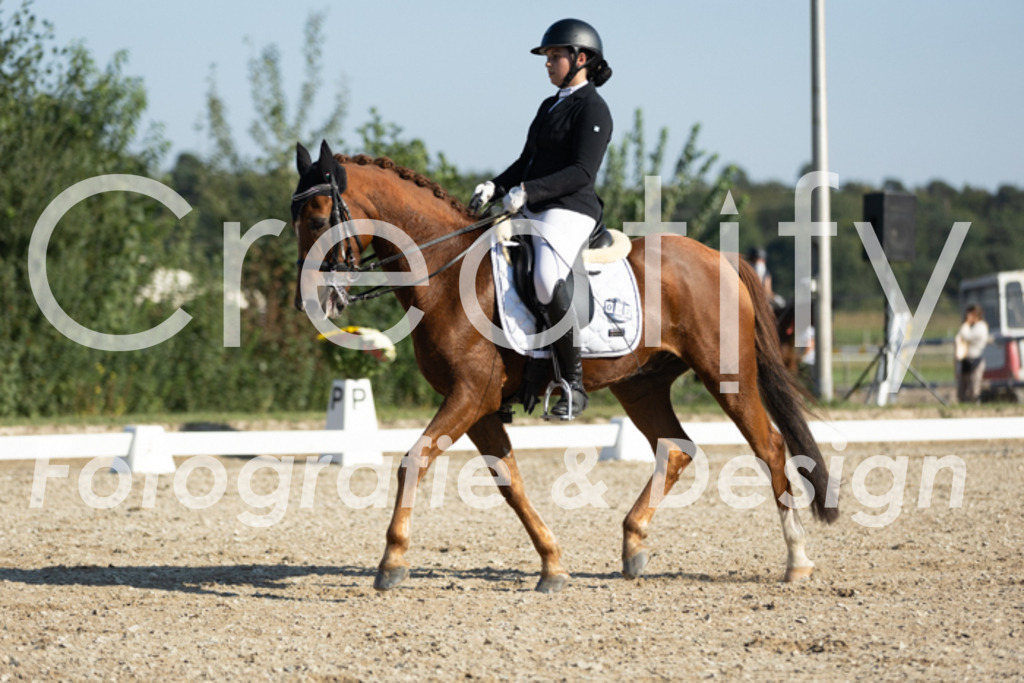 IMG_0652 | Creatify Fotografie