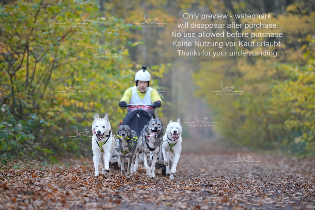 Rigs4bis8So-45 | stephaniefillaphotographie - Realisiert mit Pictrs.com