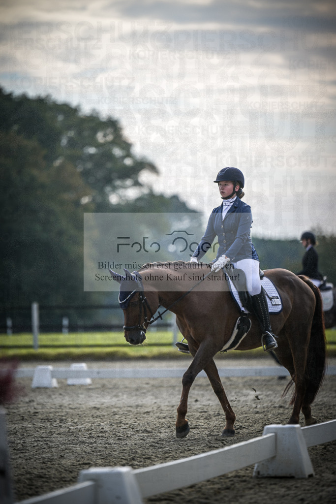DOS_B164 | Entdecke hochwertige Reitturnierfotos von Foto Oger. Professionell, emotional und authentisch – jetzt Lieblingsmomente im Shop bestellen.Deutschlandweite Turnierfotografie. - Realisiert mit Pictrs.com