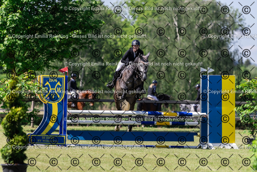 CL5A8352 | Emilia Reinking Fotografie - Realisiert mit Pictrs.com