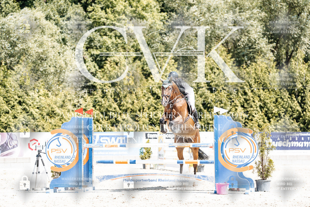 CK900289 | Turnierfotografie Pferdefotografie Trier Rheinland-Pfalz Pferdesport Reitsport Tierfotografie Sportfotografie Pferdevideo Pferdevideografie Equestrianvideography equestrianphotography  - Realisiert mit Pictrs.com