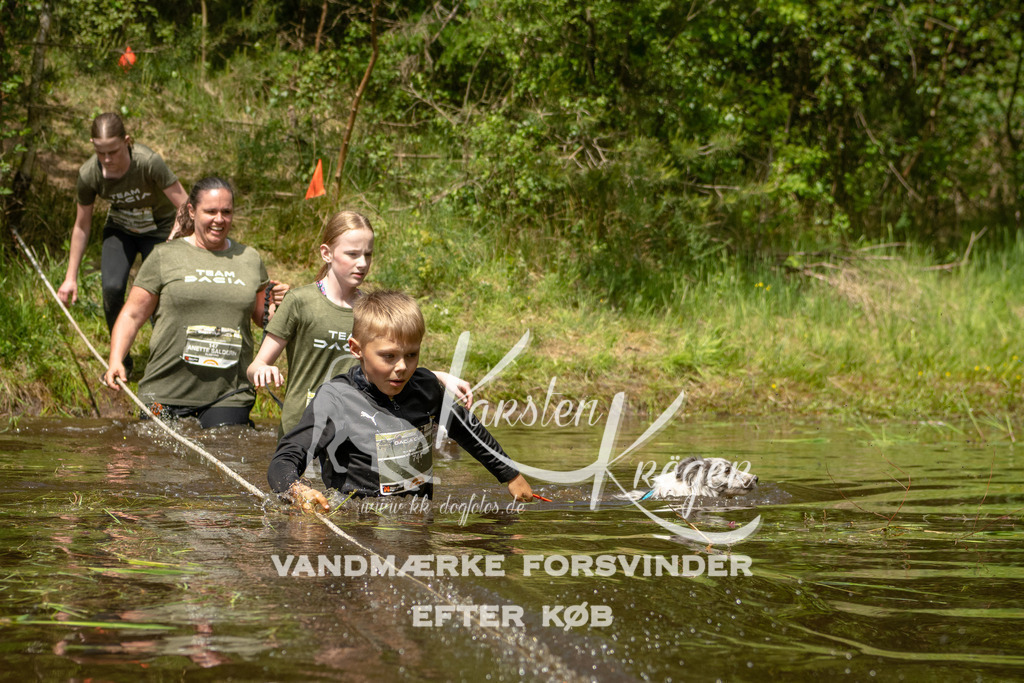 1238DKK993211 | kk-dogfotos