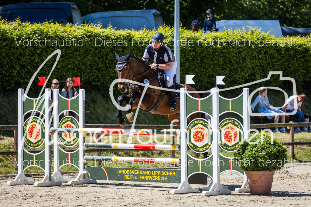 Donop24-Stil-L-050 | MomenTaufnahmen Pferdesportfotos