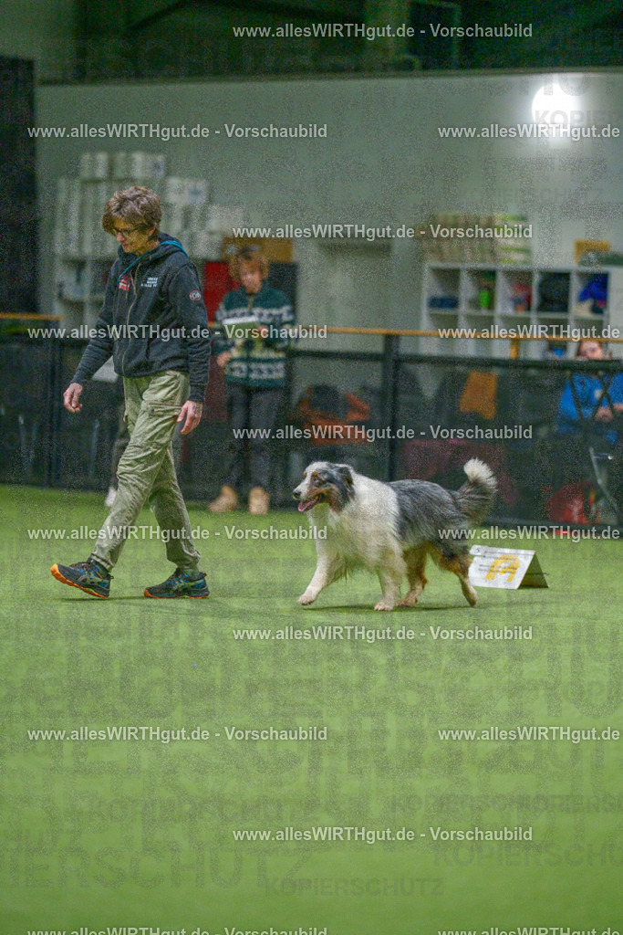 7R504695 | Professionelle Tierfotografie in Mönchengladbach von Daniel Wirth (allesWIRTHgut). Liebevolle & natürliche Bilder von Hunden & Katzen für unvergessliche Erinnerungen.