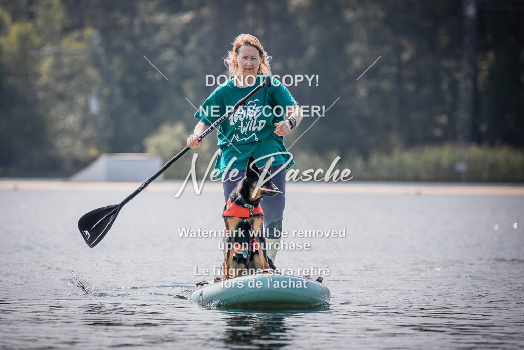 BUHU_SUP_561 | nelerasche