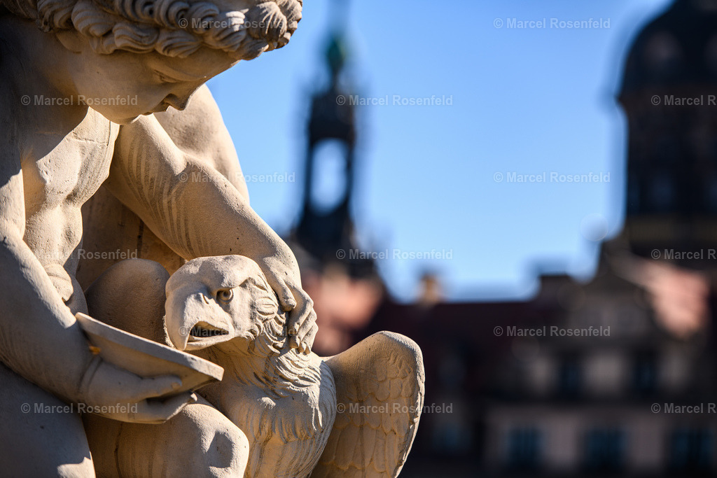 _DSC1602 | foto-rosenfeld