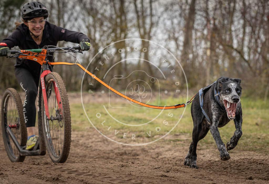 Pfotenfotografie_DV3A9199 | Hundefotografie, Tierfotograf, Pfotenfotografie, Fotoshooting Hund, Hunde Portrait, Hundesport, Hundeportraits, Heideshooting, Hunde, Sportfotograf, Hundefotograf, Turnierhundsport, THS,  - Realisiert mit Pictrs.com