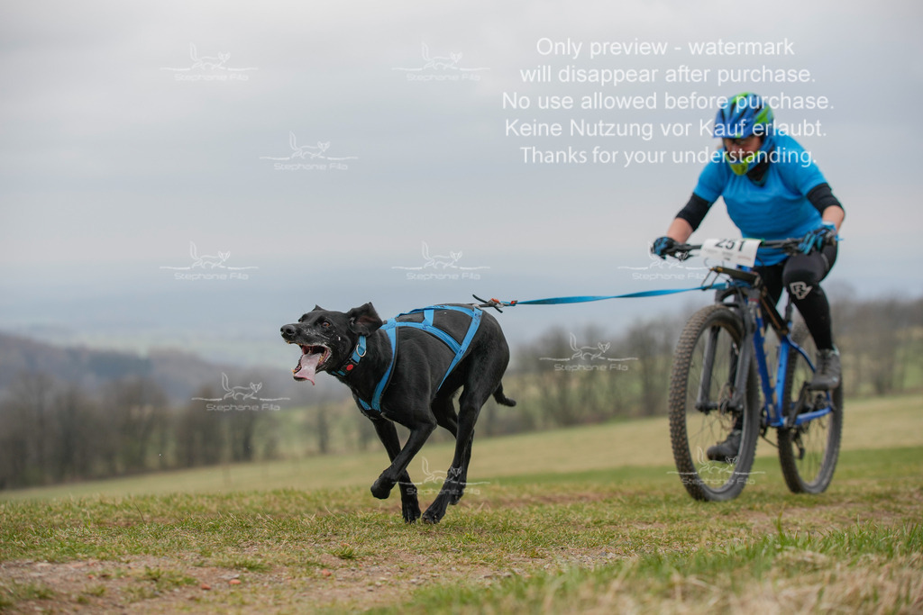 BikeSA-301 | stephaniefillaphotographie - Realisiert mit Pictrs.com