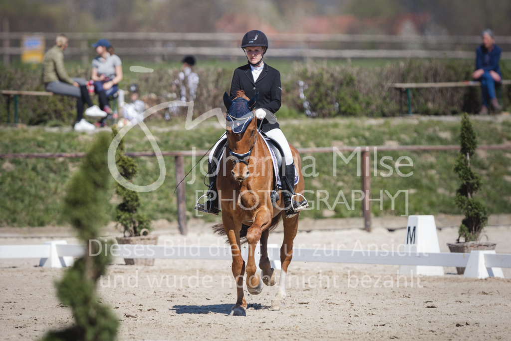 220418_L-Dressur-272 | Frühlingsfest der Pferde
Herford
18.April 2022
Dressurprfg. Kl.L* - Tr. L2ausw. geschlossen