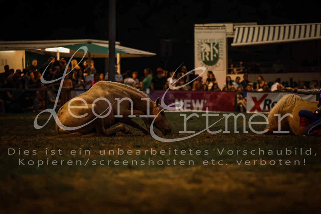 SaShow00294 | Leoni Ertmer Photography - Realisiert mit Pictrs.com