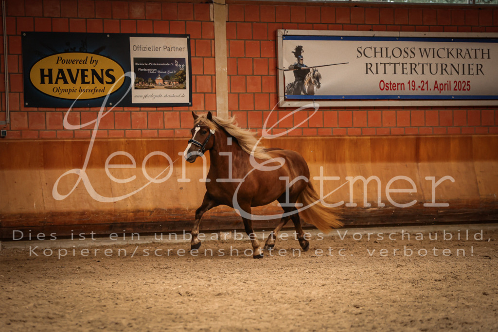 SaFL00435 | Leoni Ertmer Photography - Realisiert mit Pictrs.com