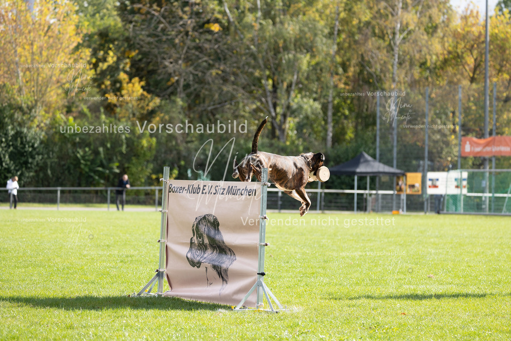 _16A6906 | Einzigartige Fotos von Hunden & Menschen –Actionfotos, Portraits, Vereinsaufnahmen & Paarshootings – authentisch, lebendig & mit Herz.