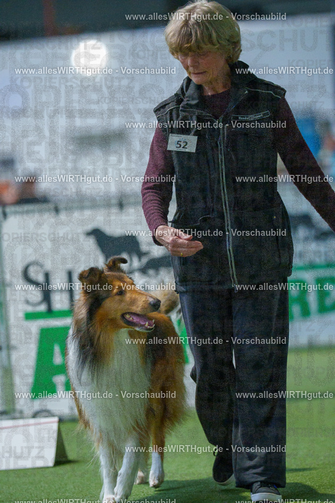 7R502064 | Professionelle Tierfotografie in Mönchengladbach von Daniel Wirth (allesWIRTHgut). Liebevolle & natürliche Bilder von Hunden & Katzen für unvergessliche Erinnerungen.
