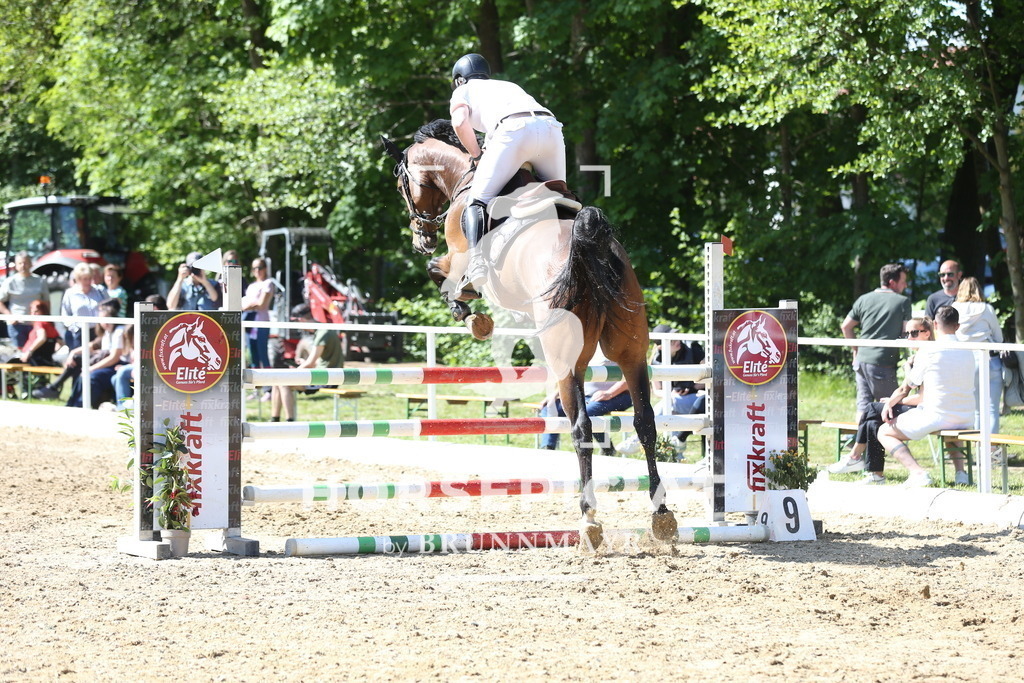 DL2Q2316 | Willkommen bei Brunnmayr - Design & Fotografie – Ihrem Spezialisten für Reitturniere und Pferdeveranstaltungen in Oberösterreich, Salzburg und Bayern! Seit über 17 Jahren sind wir leidenschaftlich dabei.