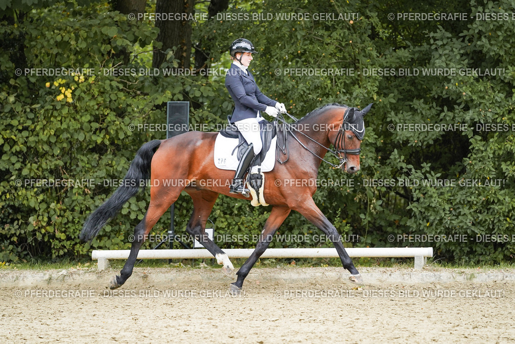 DSC07206 | Pferdegrafie