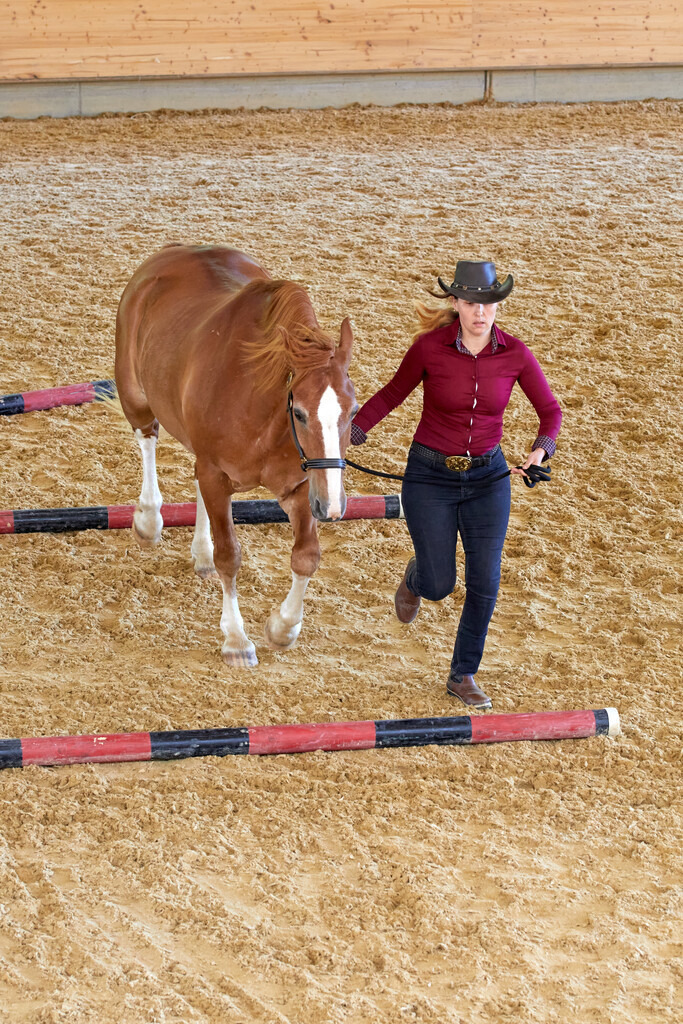 2020_07_19 Schweizersbild 138 | Peter Fridle Fotografie - Realisiert mit Pictrs.com