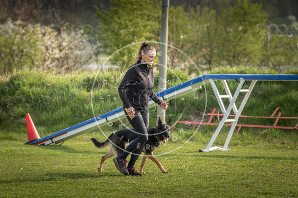 Pfotenfotografie_DV3A4807 | Hundefotografie, Tierfotograf, Pfotenfotografie, Fotoshooting Hund, Hunde Portrait, Hundesport, Hundeportraits, Heideshooting, Hunde, Sportfotograf, Hundefotograf, Turnierhundsport, THS,  - Realisiert mit Pictrs.com