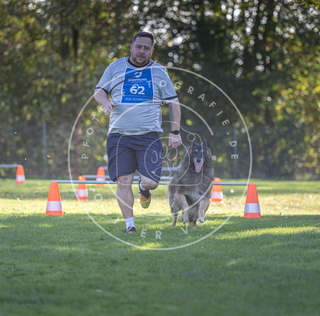 Pfotenfotografie.de_DV3A3177 | Hundefotografie, Tierfotograf, Pfotenfotografie, Fotoshooting Hund, Hunde Portrait, Hundesport, Hundeportraits, Heideshooting, Hunde, Sportfotograf, Hundefotograf, Turnierhundsport, THS, canicross - Realisiert mit Pictrs.com