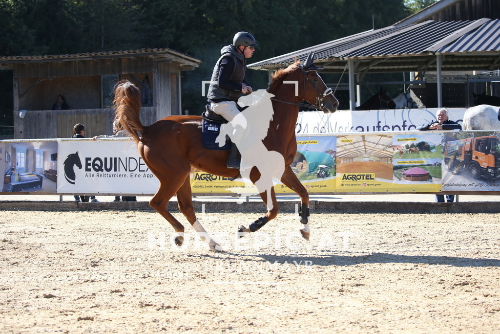 DL2Q3318 | Willkommen bei Brunnmayr - Design & Fotografie – Ihrem Spezialisten für Reitturniere und Pferdeveranstaltungen in Oberösterreich, Salzburg und Bayern! Seit über 17 Jahren sind wir leidenschaftlich dabei.