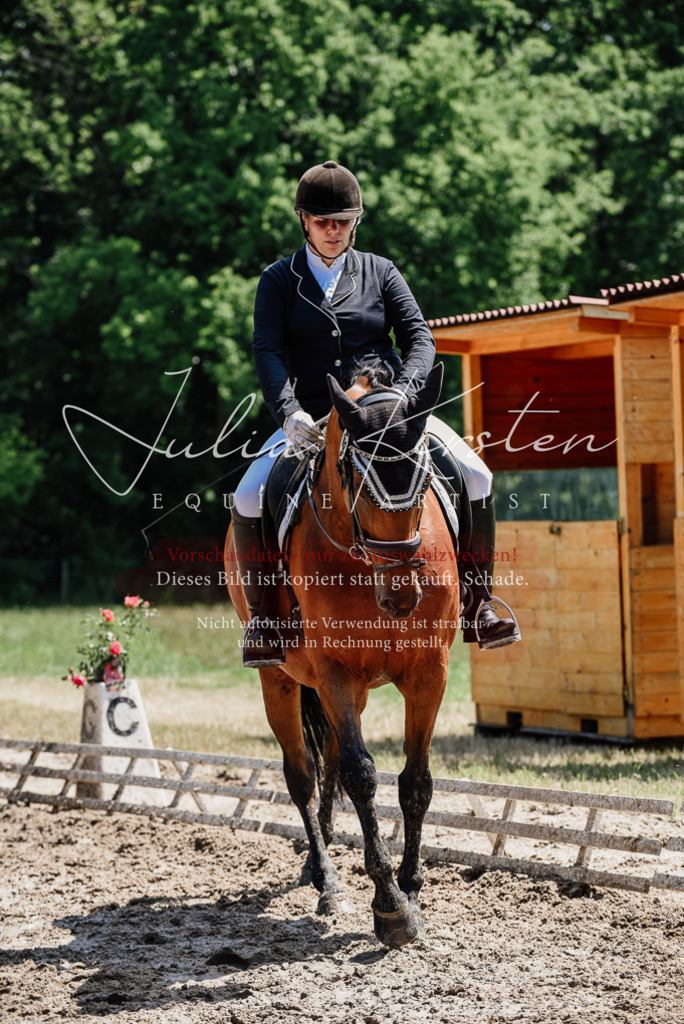 DSC_1981 | Pferde- und Turnierfotografie in Westsachsen. Pferdeportraits, Auftragszeichnungen und intuitive Kunst.