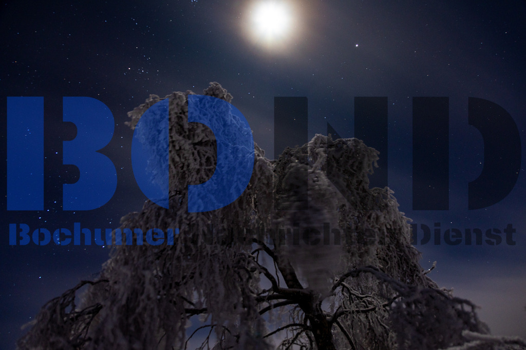 Hohes Venn bei Nacht im Schnee {date} -  | {headline}



(Foto: Sebastian Sendlak / BOND)

 - Realisiert mit Pictrs.com