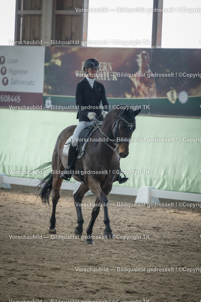 _D5A4471 | Emotionale Pferde- & People-Fotografie rund um Heidelberg, Leimen & Umgebung. Natürliche Fotos von Pferd, Mensch & Familie. Jetzt Termin sichern!