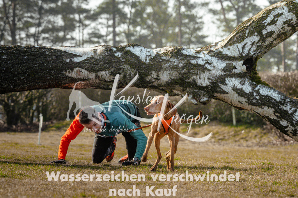 1003_ZZ90792 | kk-dogfotos