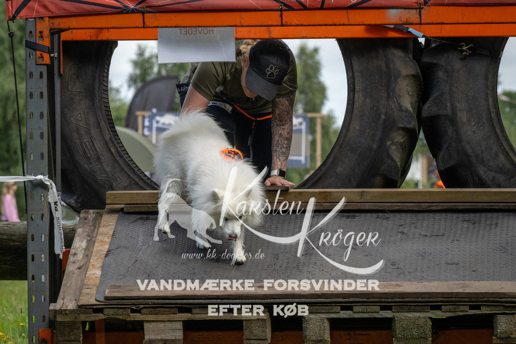 1135_ZZ92629 | kk-dogfotos