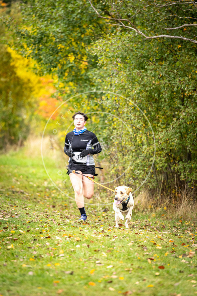 Pfotenfotografie_DV3A2261 | Hundefotografie, Tierfotograf, Pfotenfotografie, Fotoshooting Hund, Hunde Portrait, Hundesport, Hundeportraits, Heideshooting, Hunde, Sportfotograf, Hundefotograf, Turnierhundsport, THS,  - Realisiert mit Pictrs.com
