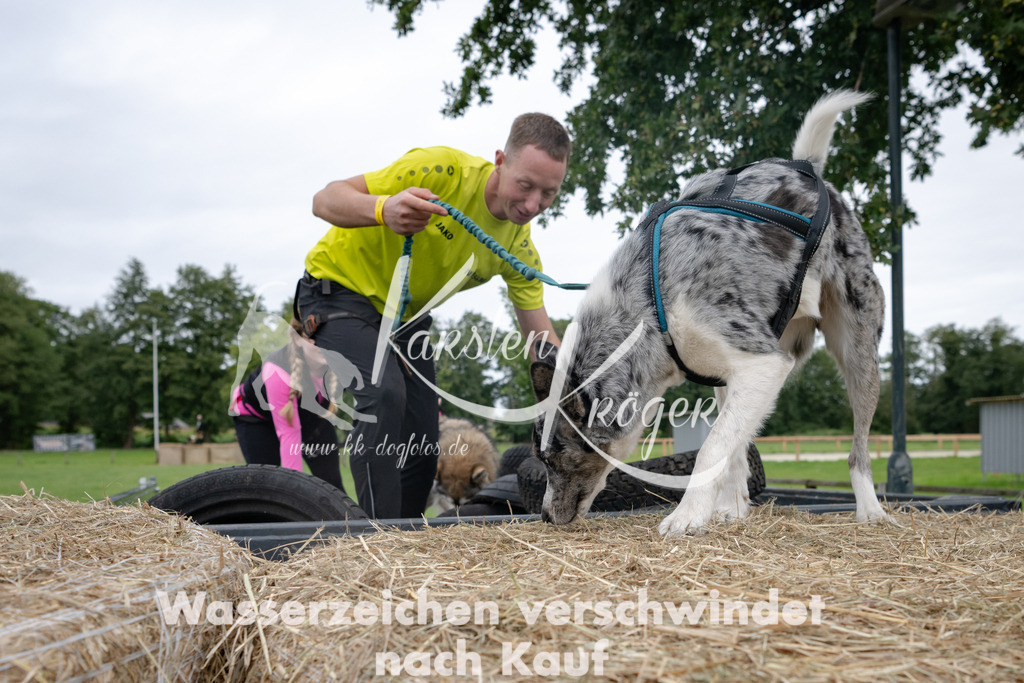 1212_ZZ94887 | kk-dogfotos