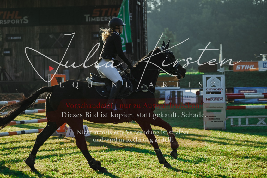 DSC_3876 | Pferde- und Turnierfotografie in Westsachsen. Pferdeportraits, Auftragszeichnungen und intuitive Kunst.