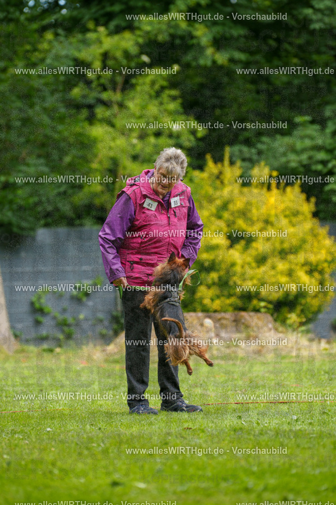 @allesWIRTHgut_Tierfotografie - www.allesWIRTHgut.de - 131023-7R509899 | Professionelle Tierfotografie in Mönchengladbach von Daniel Wirth (allesWIRTHgut). Liebevolle & natürliche Bilder von Hunden & Katzen für unvergessliche Erinnerungen.