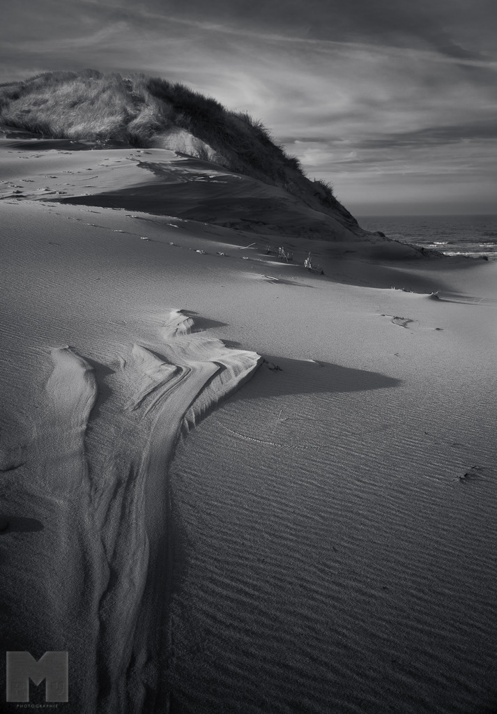 Dünen | Landschafts- und Tierfotografie zu allen Jahreszeiten. Und immer die Schönheit des Lichtes im Auge... - Realisiert mit Pictrs.com