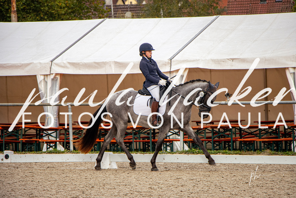 IMG_8256 | Erleben Sie dynamische Sport- und emotionale Tierfotografie in Süddeutschland mit Fotos von Paula. Spezialisiert auf Pferde- und Hundefotografie sowie Sportevents. Kontaktieren Sie mich für einzigartige und ausdrucksstarke Bilder Ihrer besonderen Momente. - Realisiert mit Pictrs.com