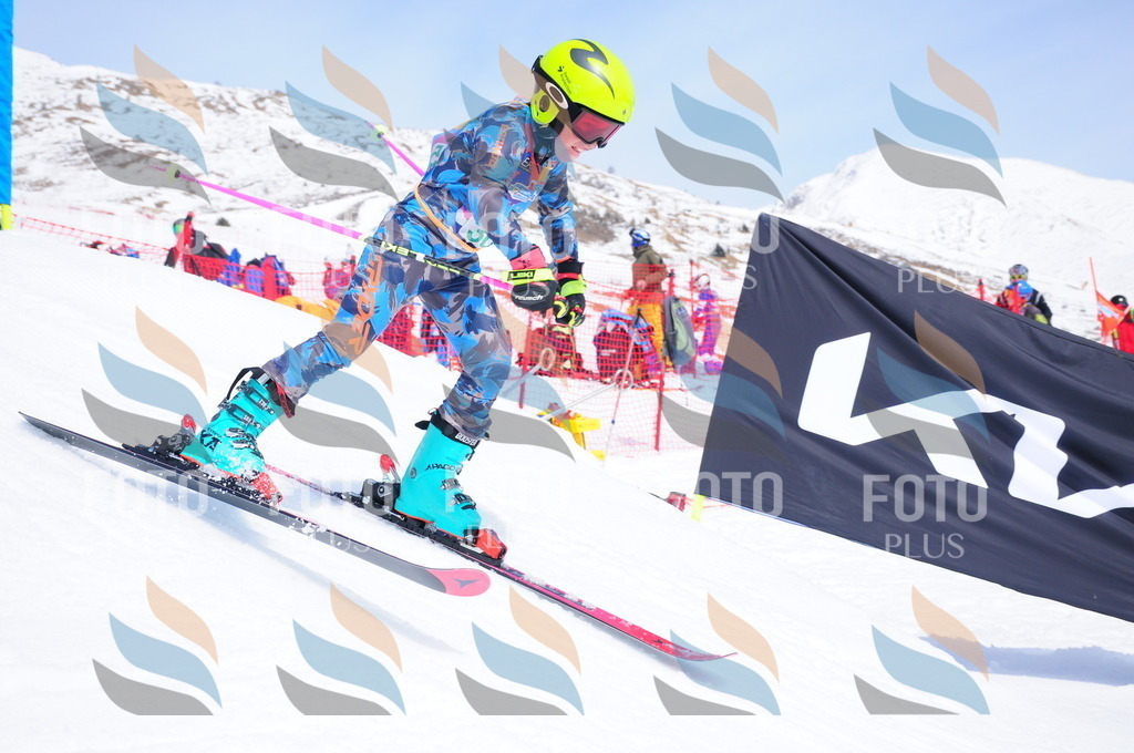 DSC_2950 | holidayphoto