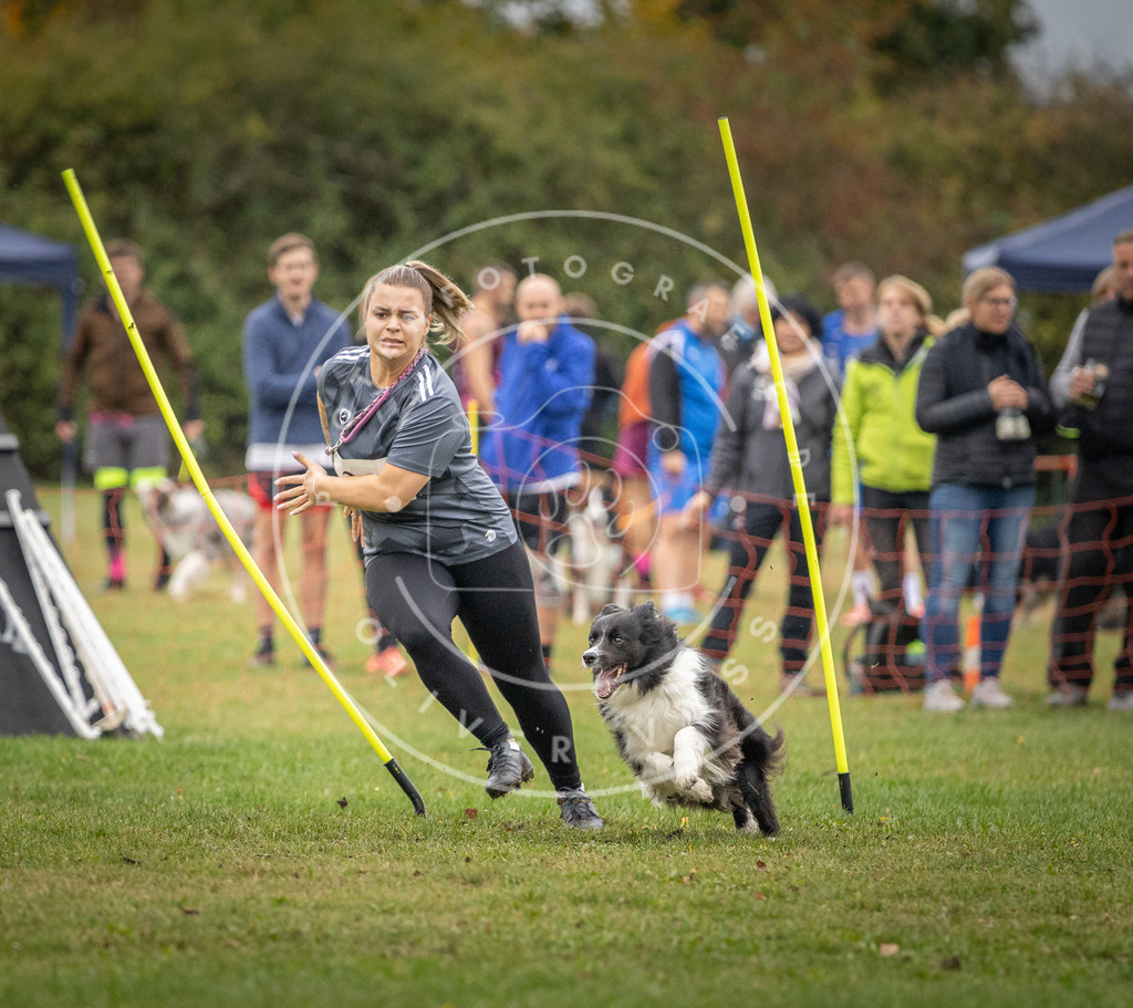 Pfotenfotografie_DV3A9889 | Hundefotografie, Tierfotograf, Pfotenfotografie, Fotoshooting Hund, Hunde Portrait, Hundesport, Hundeportraits, Heideshooting, Hunde, Sportfotograf, Hundefotograf, Turnierhundsport, THS,  - Realisiert mit Pictrs.com