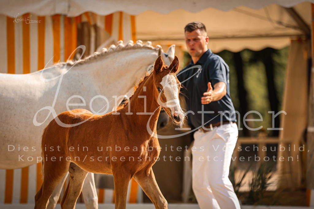 10.DoRP00211 | Leoni Ertmer Photography - Realisiert mit Pictrs.com