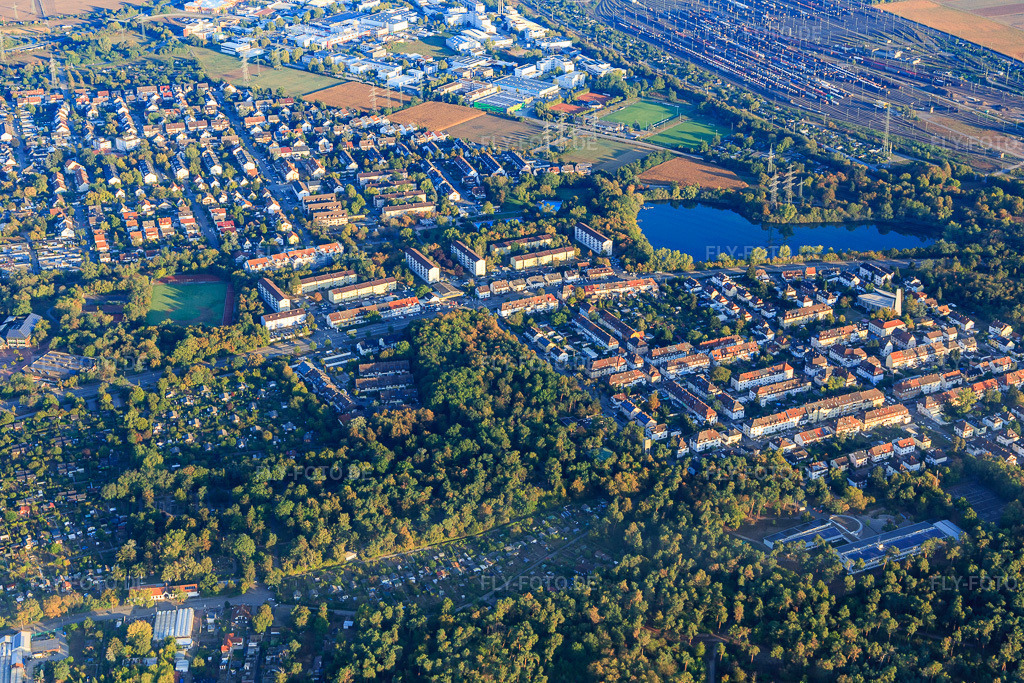 Luftbild: Wachenburgstraße bis zum Pfingstbergweiher im Ortsteil Rheinau in Mannheim im Bundesland Baden-Württemberg in Deutschland. Foto: IMG_110897.jpg vom 08.09.2018 durch Werner Riehm/FLY-FOTO.de