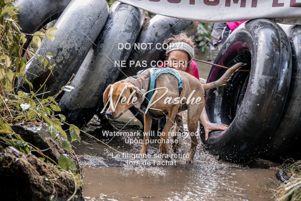 nelerasche_Hunsrück2026_Sa1400-1500_306 | nelerasche