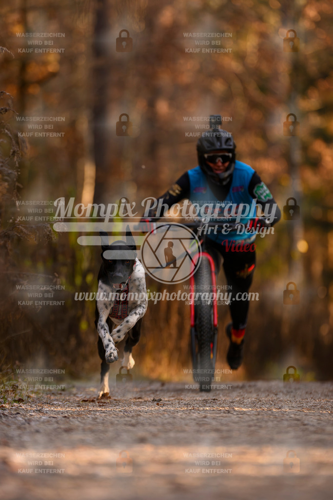 MompixPhotography_DM_AKDM_SO_2025_Scooter-92 | PayLife