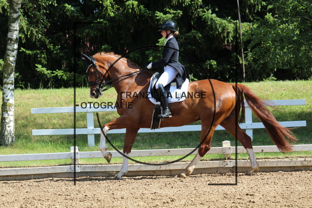 IMG_6905 | franziskalange - Realisiert mit Pictrs.com