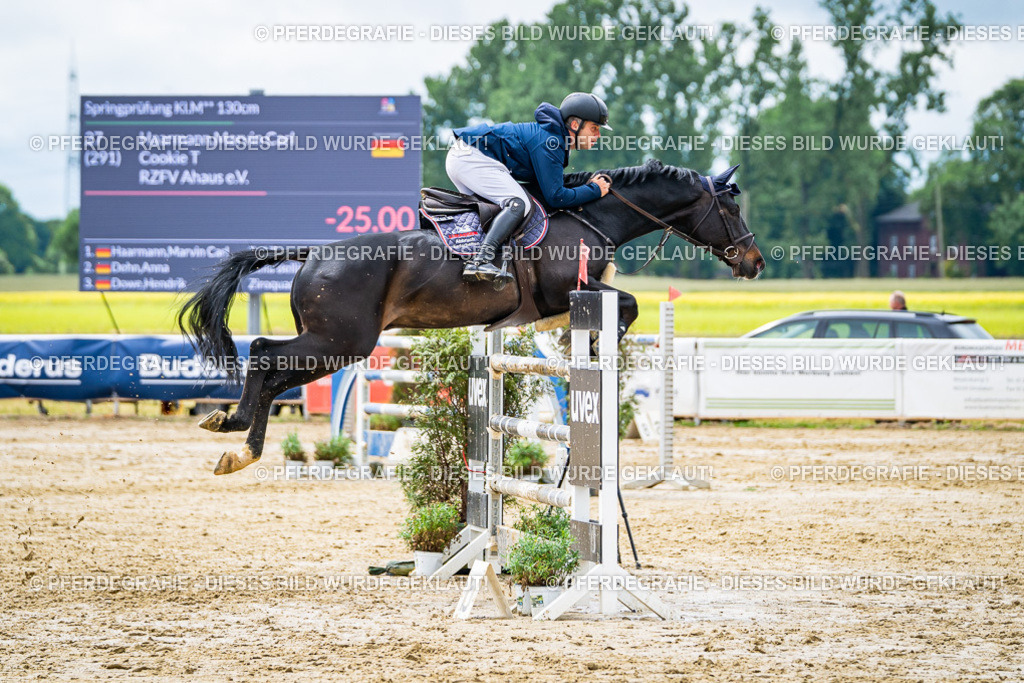 DSC04168 | Pferdegrafie