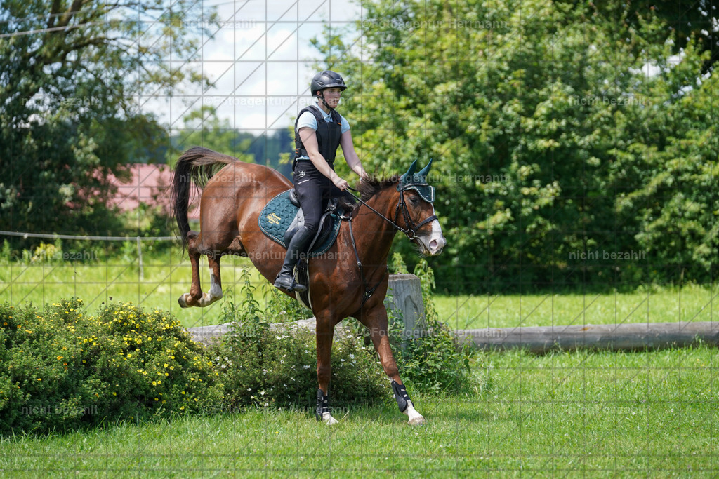 20240622-FAH06930 | Turnierfotografen Bayern, Reitsportbilder aus dem Geländekurs mit Felix Etzel auf dem Gut Waitzacker 2024